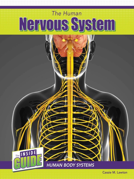 Title details for The Human Nervous System by Cassie M. Lawton - Available